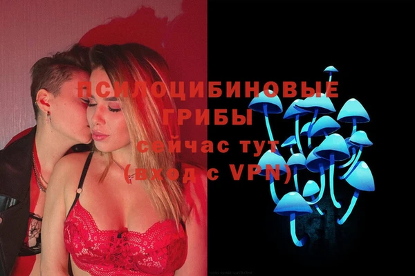 прущая мука Дмитров