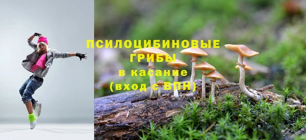 стаф Балабаново