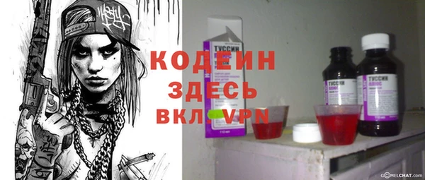 крисы Ельня